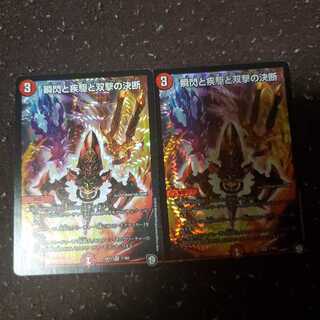 瞬閃と疾駆と双撃の決断