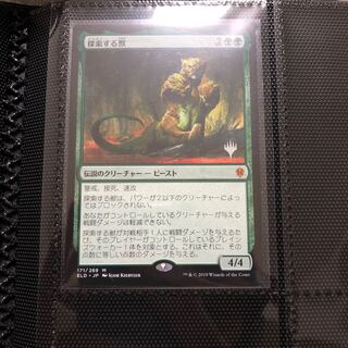 探索する獣　プロモ