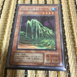 マドレース 沼地の魔獣王　レア2期