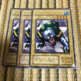 マドレース タートルタイガー　レア2期