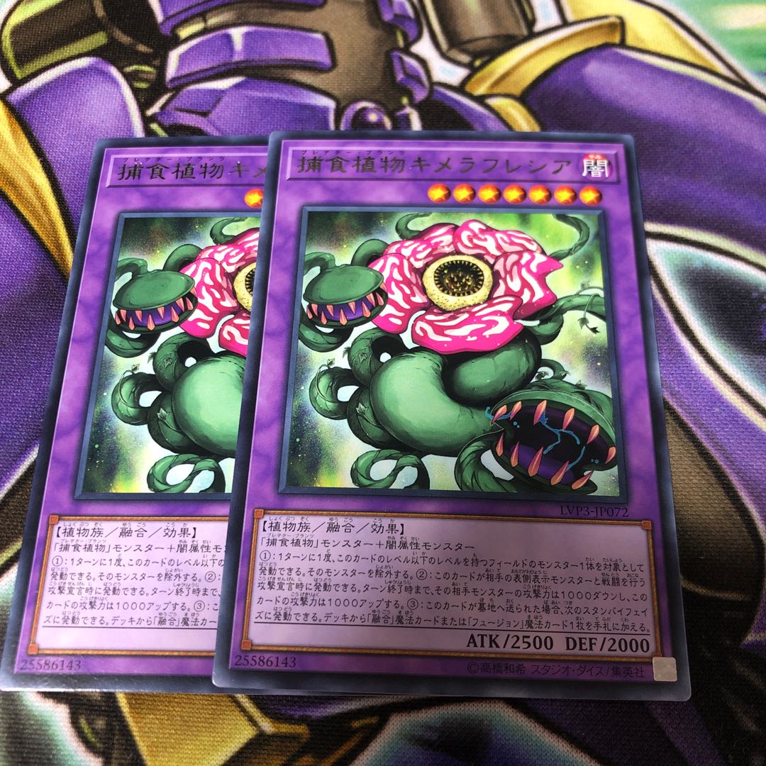 捕食植物キメラフレシア レア