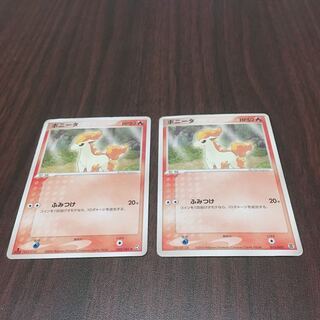 ポニータ  二枚