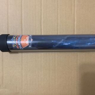 海外 ゼラオラ プレイマット