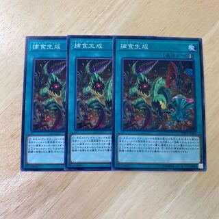 捕食生成 ノーマル