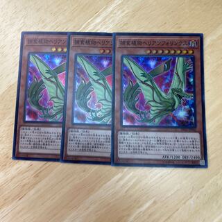 捕食植物ヘリアンフォリンクス スーパーレア