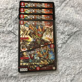 龍爪者“SVN”ムソウ｜二爪流トレーニング