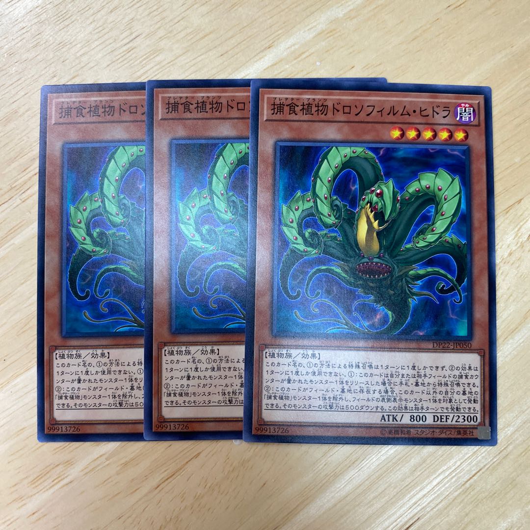 Predaplant Drosophyllum Hydra Normal