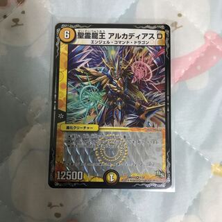 聖霊龍王 アルカディアス D 少し値下げ