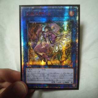 天威の龍仙女 20th アジア