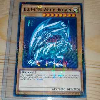 【完美品】WCS 2015 青眼の白龍