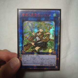 蒼翠の風霊使いウィン 20th アジア