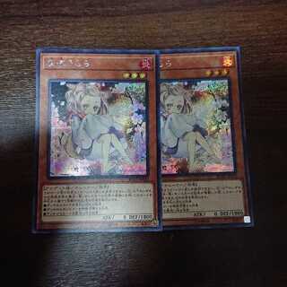 灰流うらら シークレット イラスト違い 二枚セット