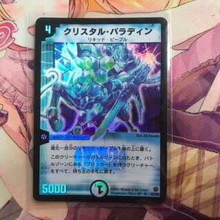 ローギさん専用 クリスタルパラディン