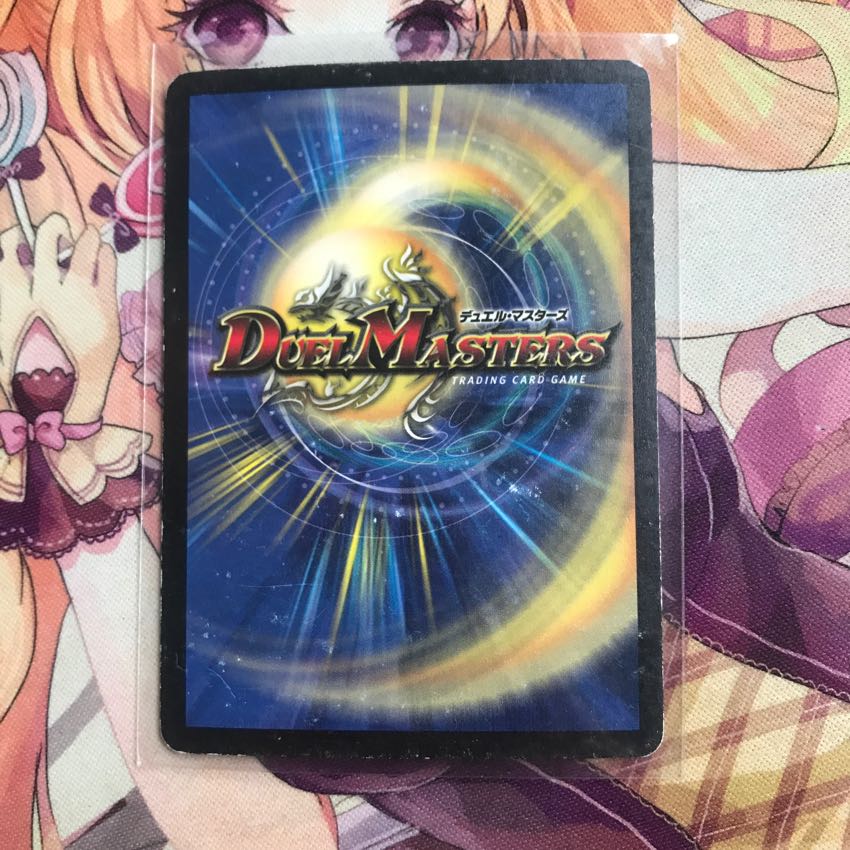 ローギさん専用 クリスタルパラディン