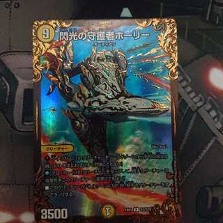 閃光の守護者ホーリー