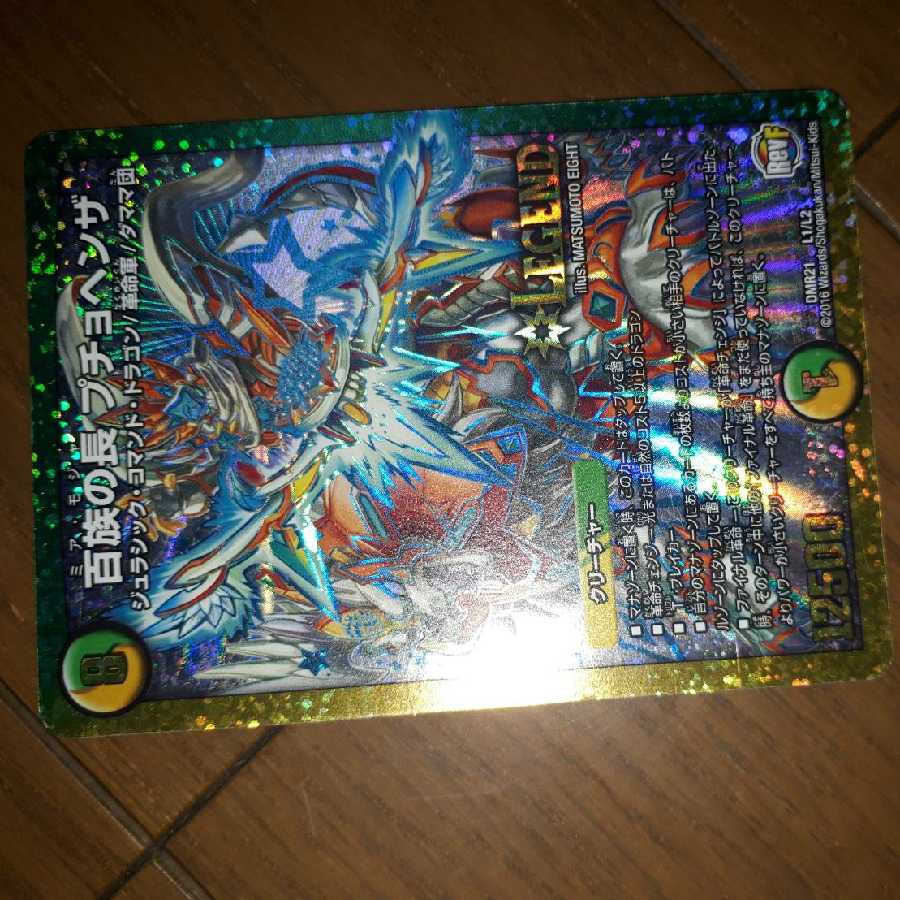 百族の長プチョヘンザ