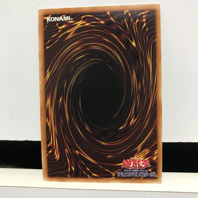 雷神龍 サンダードラゴン 20th シク