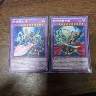 月光舞獅子姫 豹姫 シークレット ２枚セット