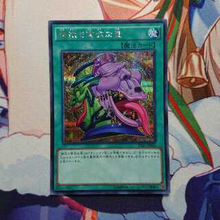 強欲で貪欲な壺