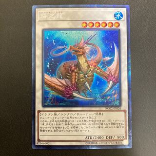 瑚之龍 コレクターズレア
