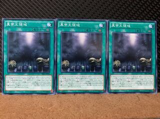 【ぽぽたん】遊戯王 6860 真帝王領域 3枚 ノーマル