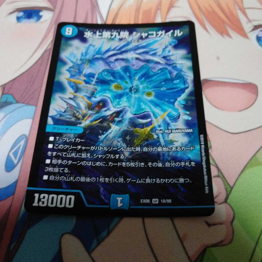 水上第九院 シャコガイル