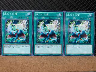 【ぽぽたん】遊戯王 6848 進化の代償 3枚 ノーマル