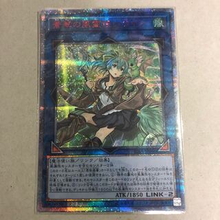 蒼翠の風霊使い ウィン  20th シク