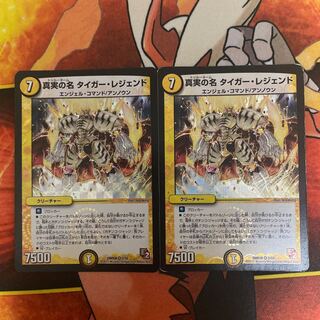 真実の名 タイガー・レジェンド