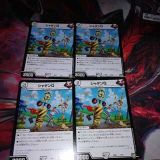 Shadan Q 4-piece set