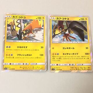 カプコケコ 2枚