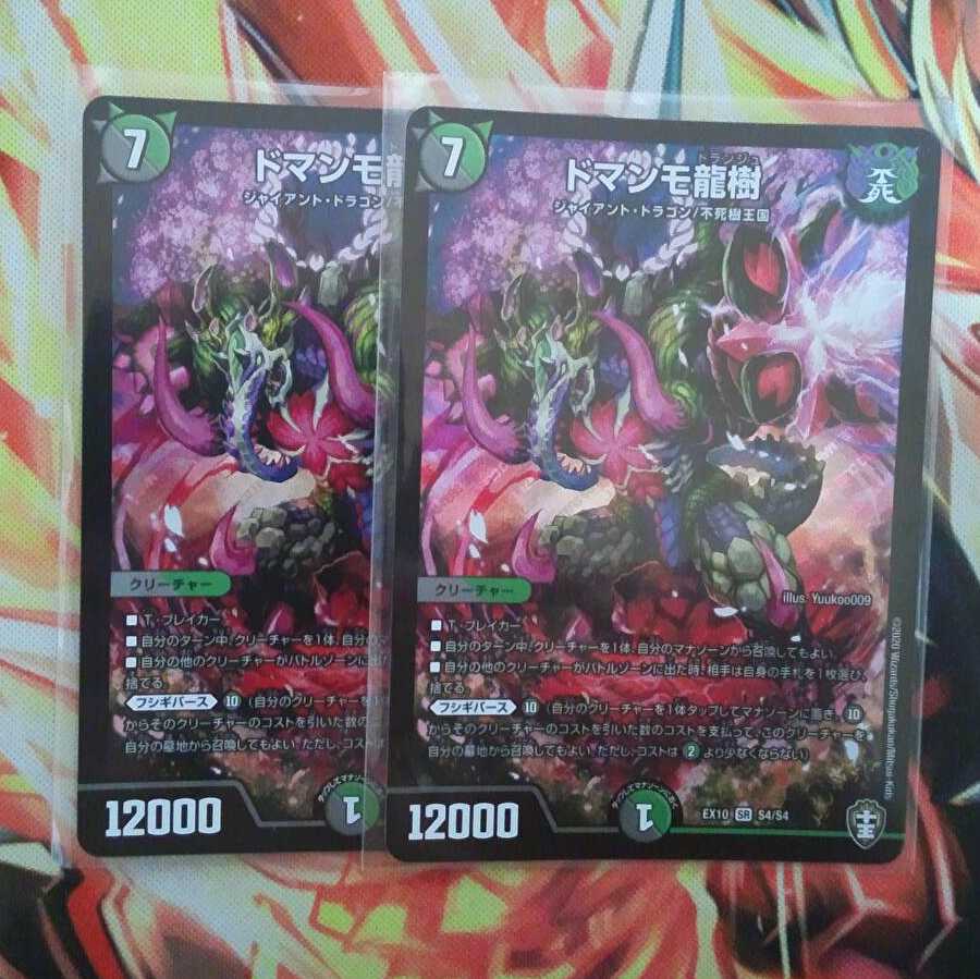 ドマンモ龍樹 二枚セット