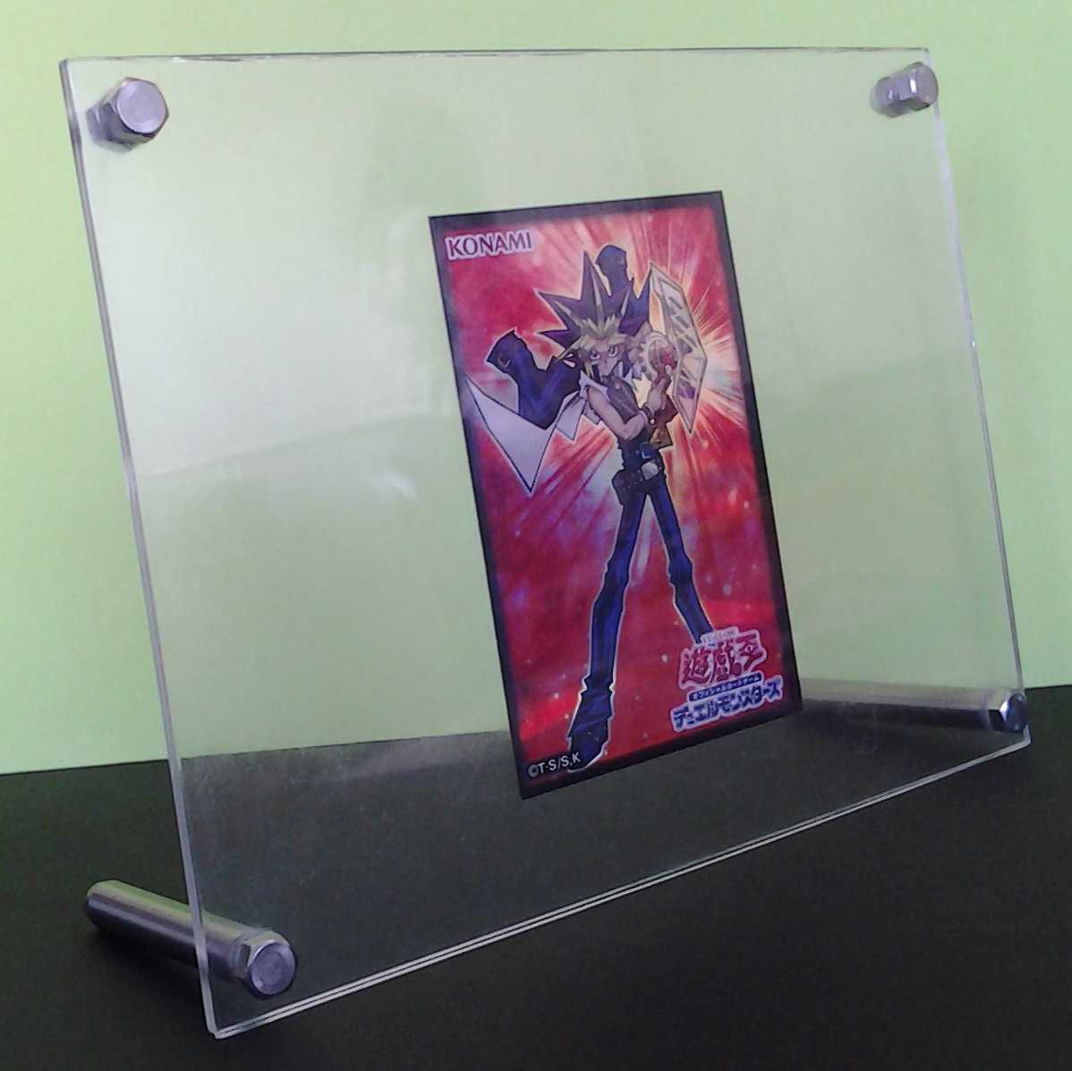 Bolt Hedgehog English 2-card set with Trekker case (photo stand)