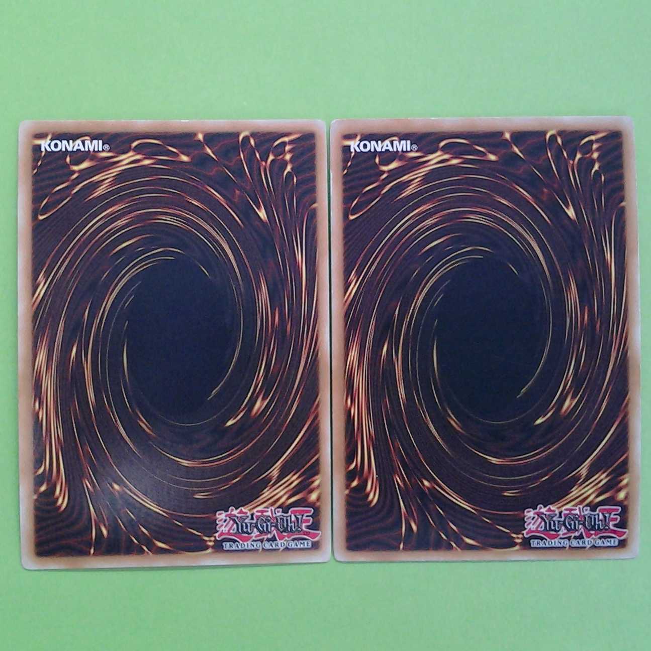 Bolt Hedgehog English 2-card set with Trekker case (photo stand)