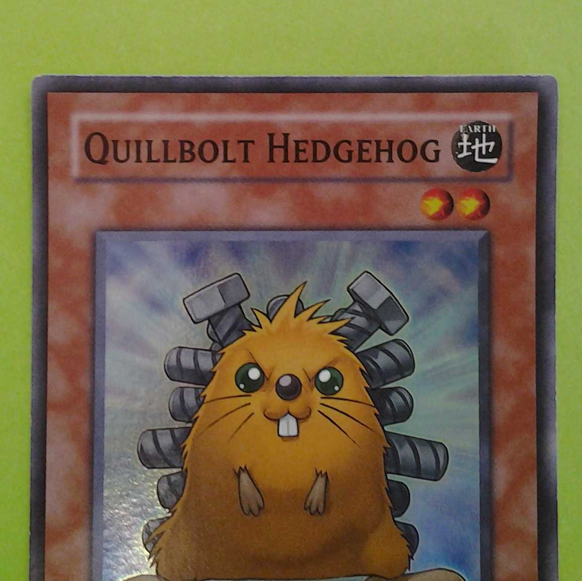 Bolt Hedgehog English 2-card set with Trekker case (photo stand)