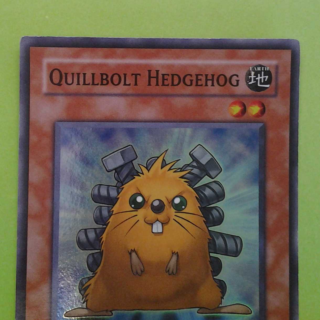 Bolt Hedgehog English 2-card set with Trekker case (photo stand)