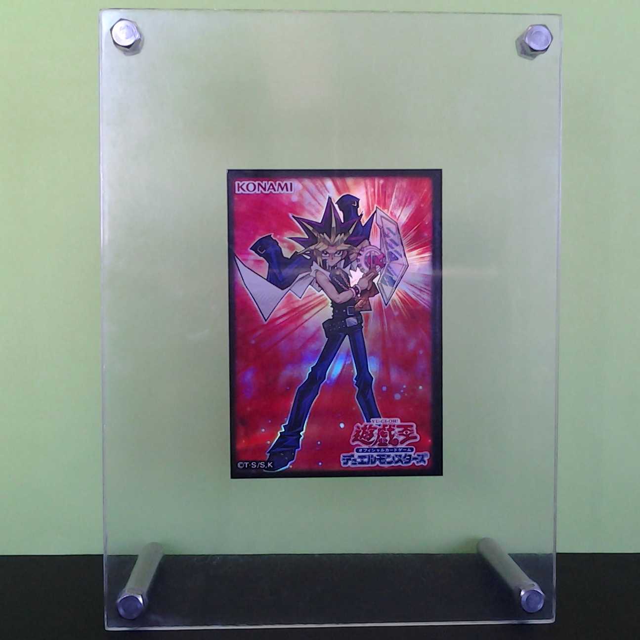 Bolt Hedgehog English 2-card set with Trekker case (photo stand)