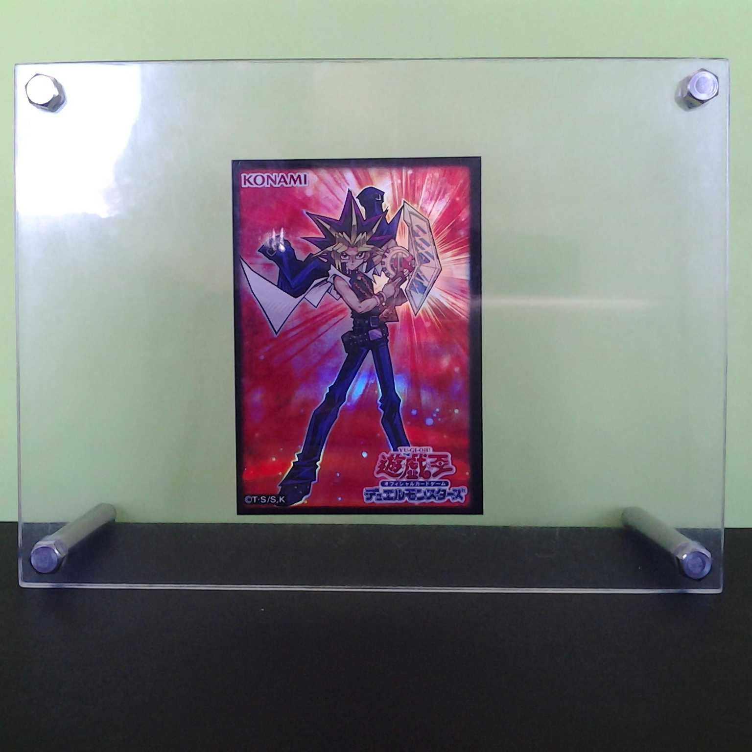 Bolt Hedgehog English 2-card set with Trekker case (photo stand)