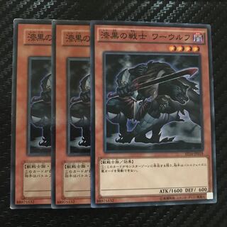 漆黒の戦士 ワーウルフ ノーマル