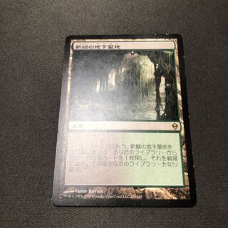 MTG 新緑の地下墓地