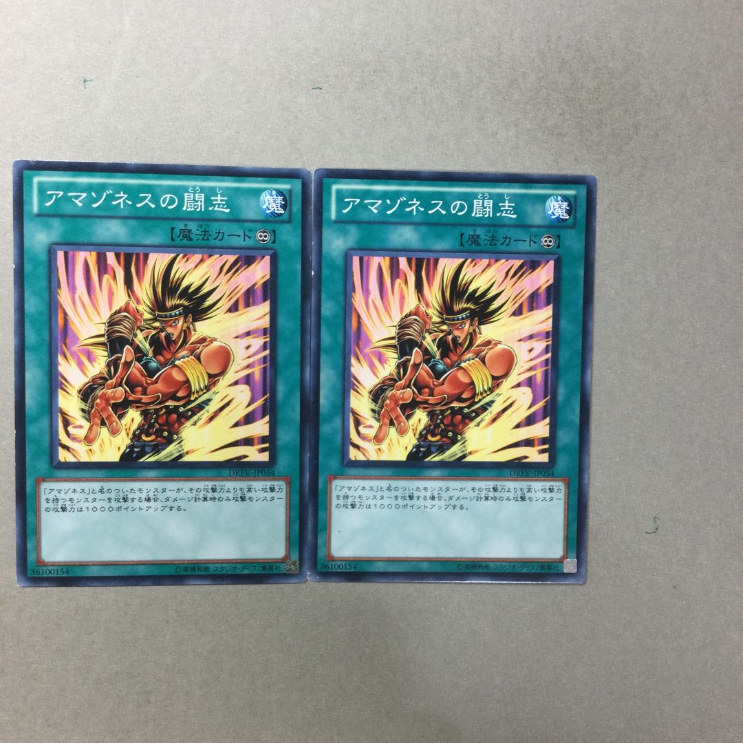 アマゾネスの闘志　２枚