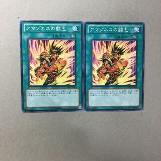 アマゾネスの闘志　２枚