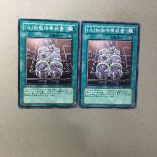 「A」細胞培養装置　２枚