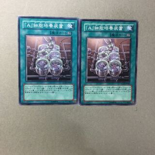 「A」細胞培養装置　２枚