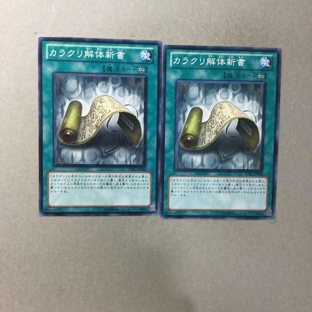 Karakuri Anatomy 2 copies