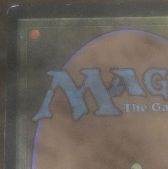 MTG ガイアの揺籃の地 特価 格安！
