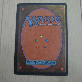 MTG tropical island ③ Chippy様専用