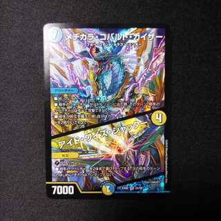 メジカラ・コバルト・カイザー/アイド・ワイズ・シャッター