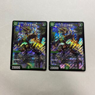 ブラキオ龍樹　2枚