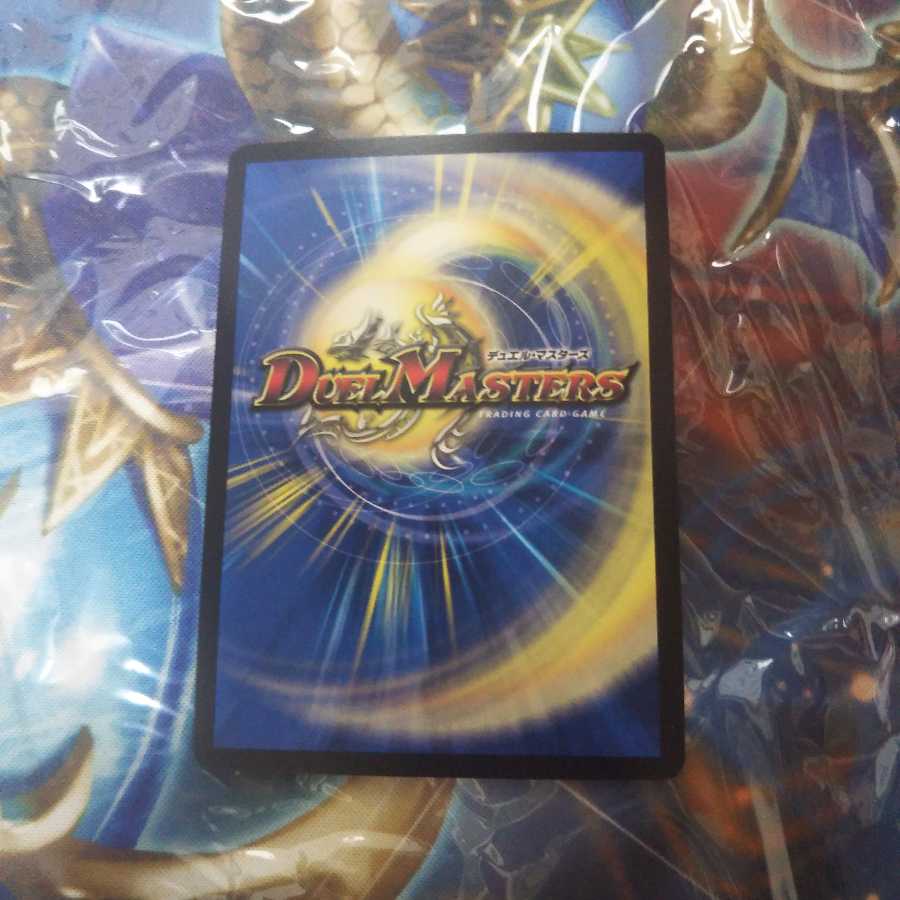 転ぶたこ焼きくん様専用 1枚